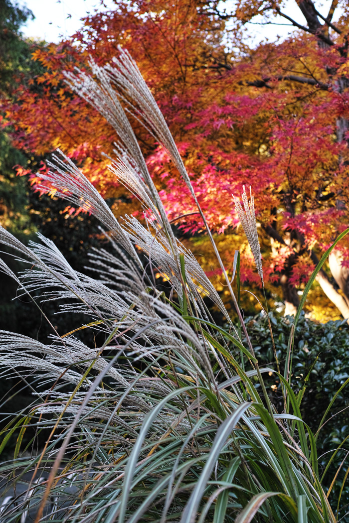 c0223825_2373747.jpg