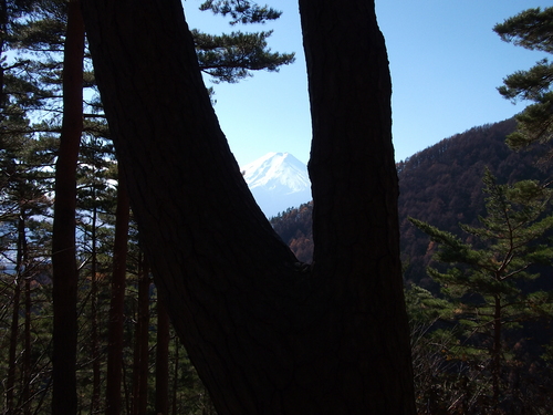 f0304030_203620100.jpg