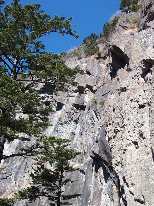 f0304030_20534938.jpg