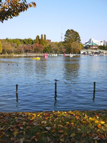 f0165831_23314590.jpg