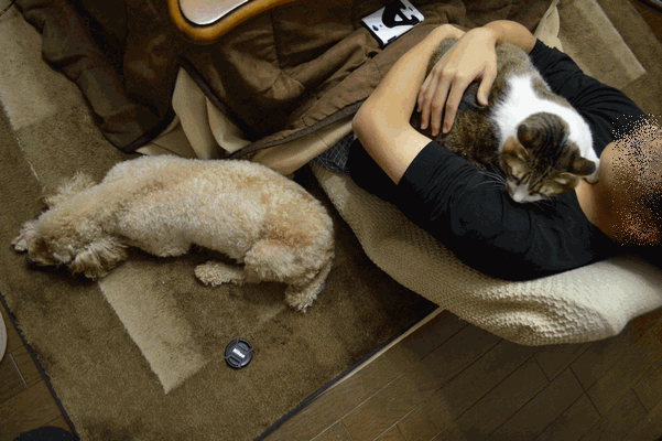 c0136736_15163987.gif