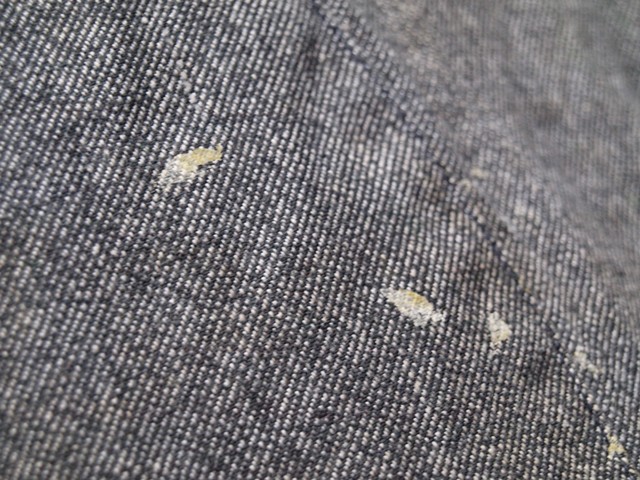 c0177238_200684.jpg