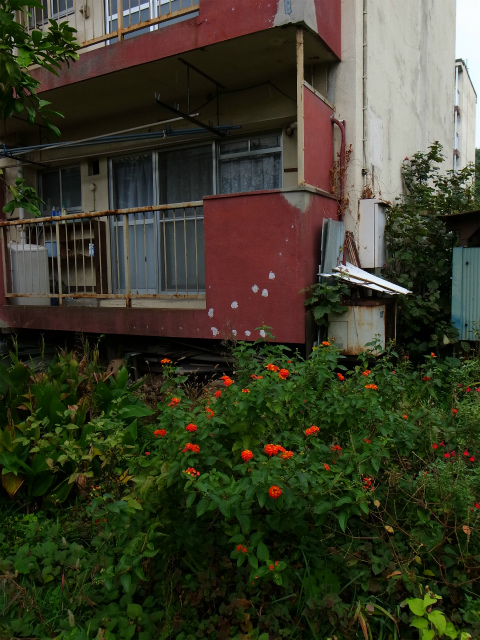 a0087341_120824.jpg