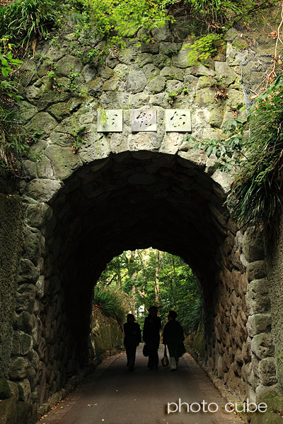b0195043_22315820.jpg