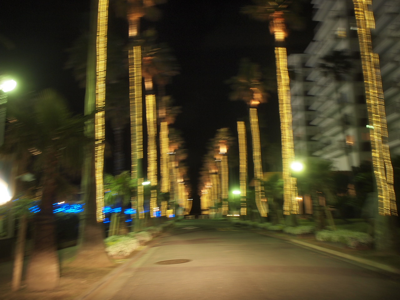 a0299945_8572083.jpg