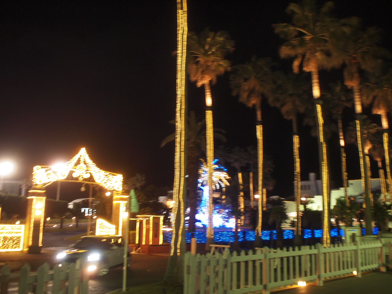 a0299945_914457.jpg