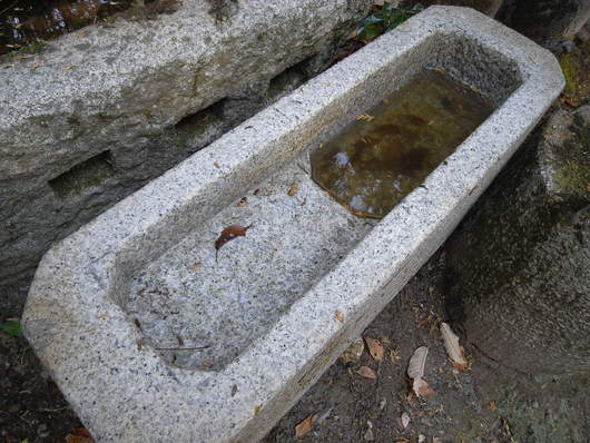 e0126548_14544397.jpg
