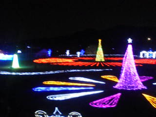 e0150849_2013532.jpg