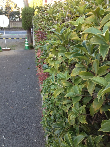 e0128359_20175284.jpg