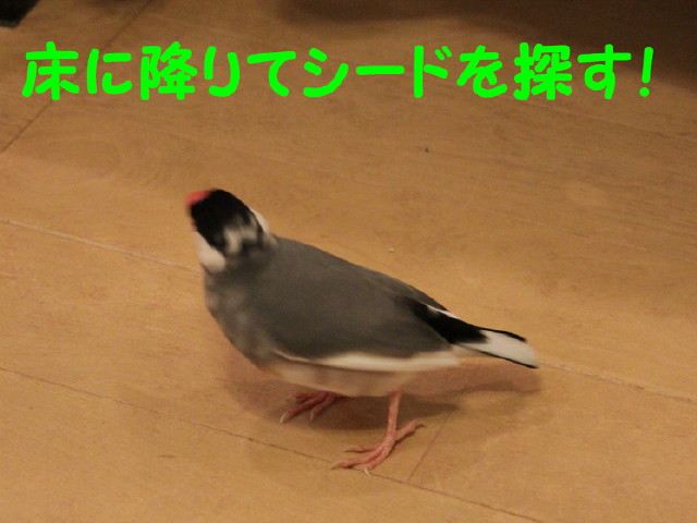 b0158061_024275.jpg