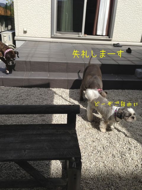 f0177261_21135483.jpg