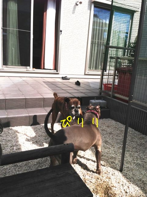 f0177261_21142523.jpg