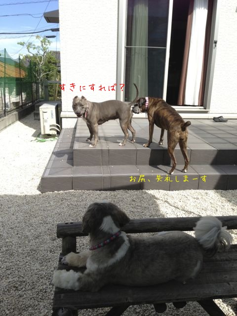 f0177261_2114397.jpg
