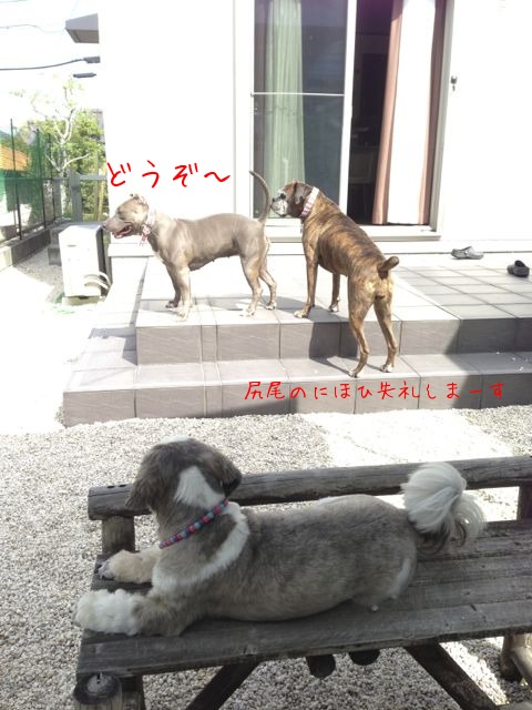 f0177261_2115151.jpg