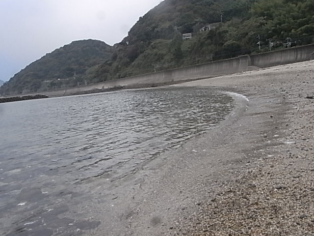 a0146070_7142012.jpg