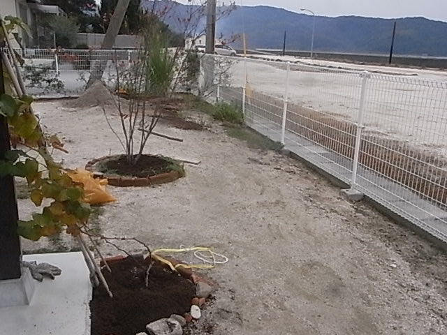 a0146070_734325.jpg