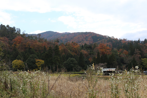 b0086273_11244842.jpg