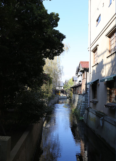 b0086273_11554636.jpg