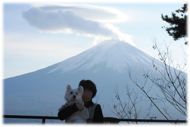b0242873_1505826.png