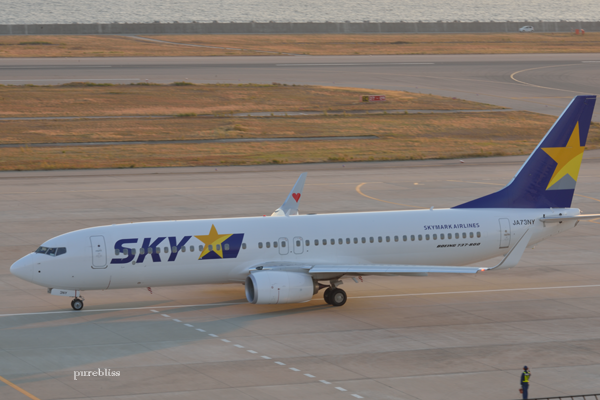 b0243873_19062926.png