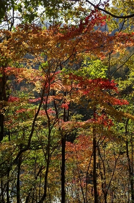 f0215475_10385725.jpg