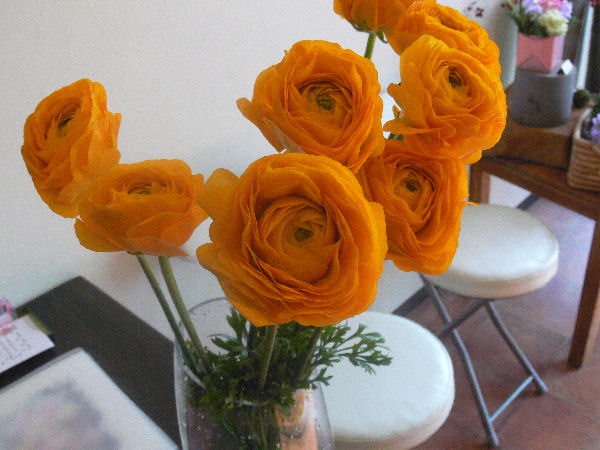 e0140986_14165315.jpg