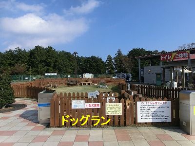 e0222588_176199.jpg