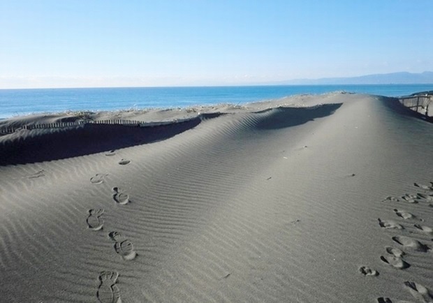 e0143690_7245796.jpg