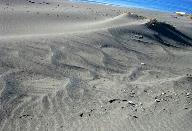 e0143690_7313147.jpg