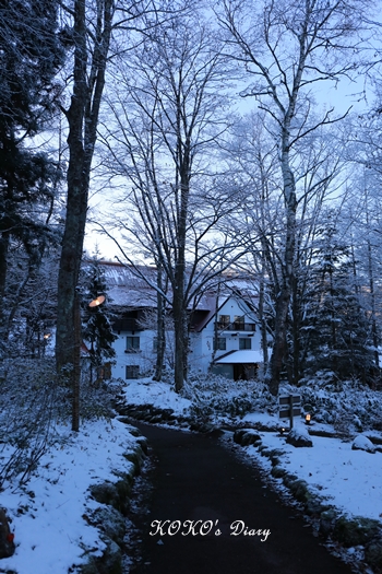 e0059896_19583378.jpg