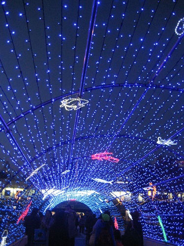f0201297_8294595.jpg