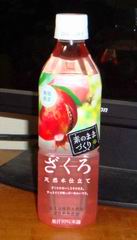 a0027598_22582870.jpg