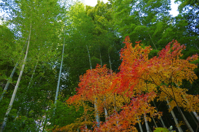 b0275998_9284427.jpg