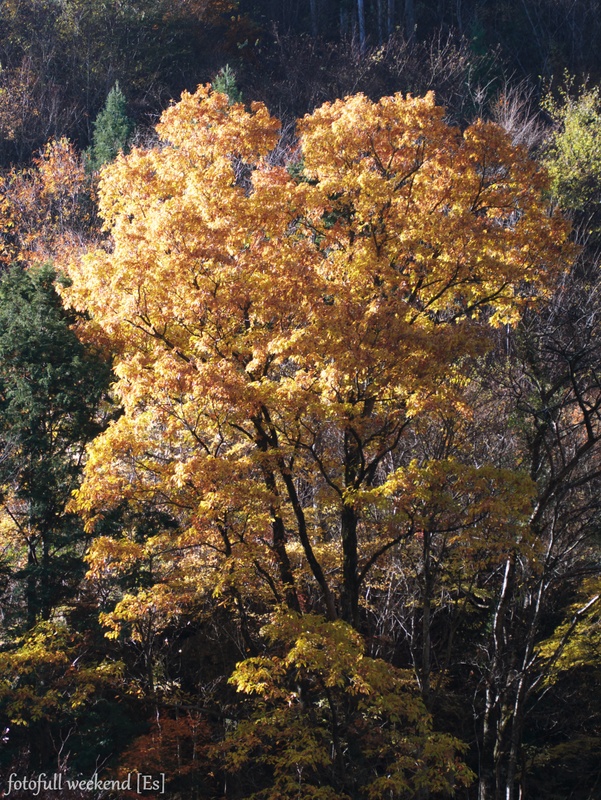 b0138101_1863936.jpg