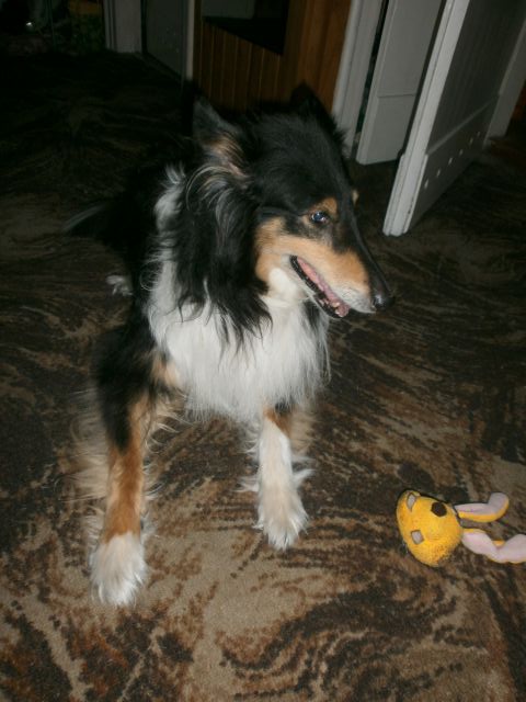 e0039206_18232282.jpg