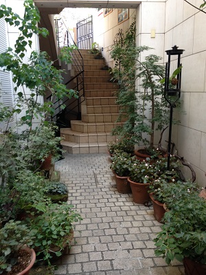 e0178307_10261050.jpg