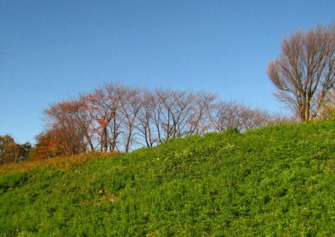c0084117_17525663.jpg
