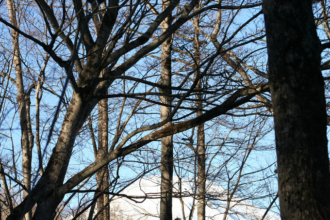 e0244621_2353355.jpg