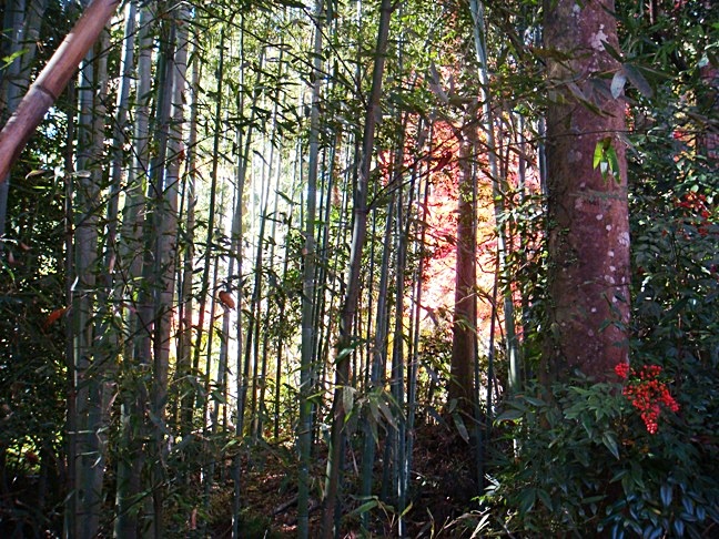 b0068423_16551144.jpg