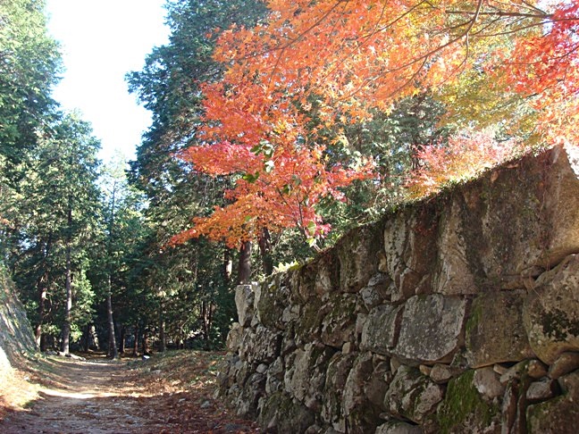 b0068423_17311581.jpg