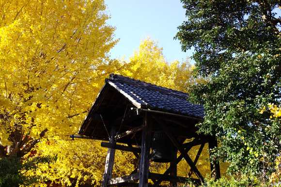 d0250028_12354461.jpg