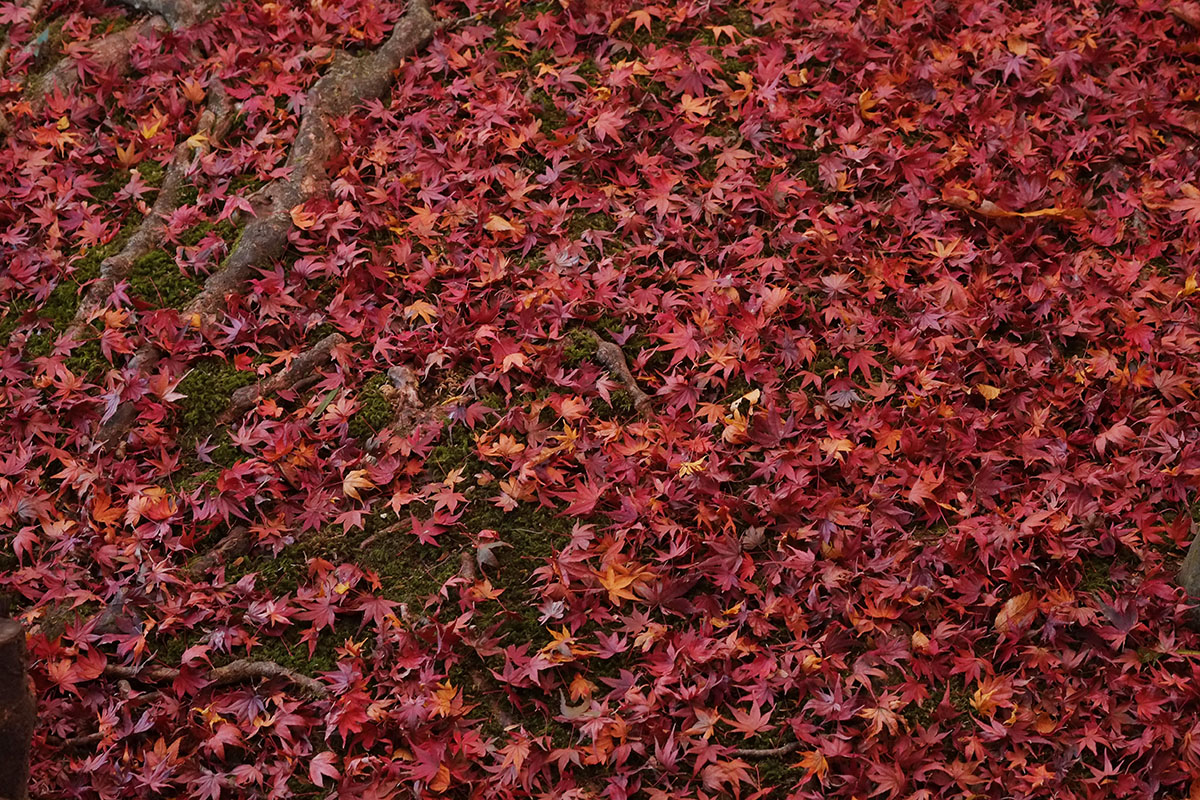 c0211429_21141937.jpg