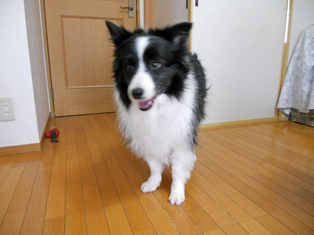 d0059230_9412283.jpg
