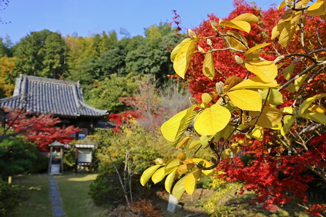 a0242438_19391250.jpg