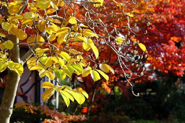 a0242438_19394086.jpg