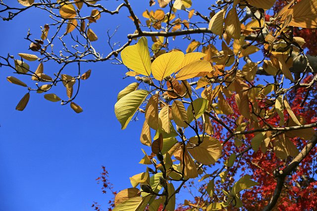 a0242438_1939614.jpg