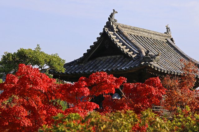 a0242438_19411843.jpg