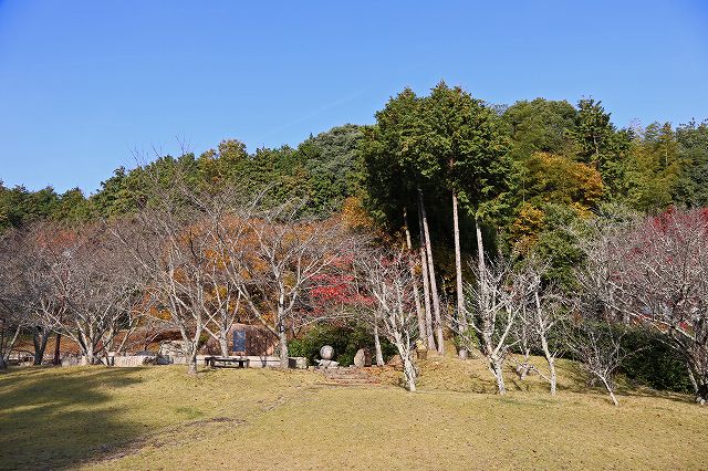 a0242438_19412373.jpg