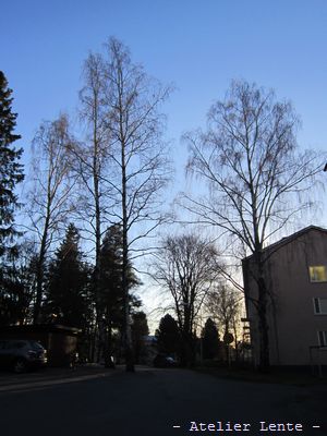 b0135438_16222399.jpg