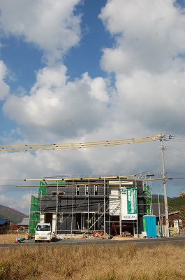 b0082242_81947.jpg